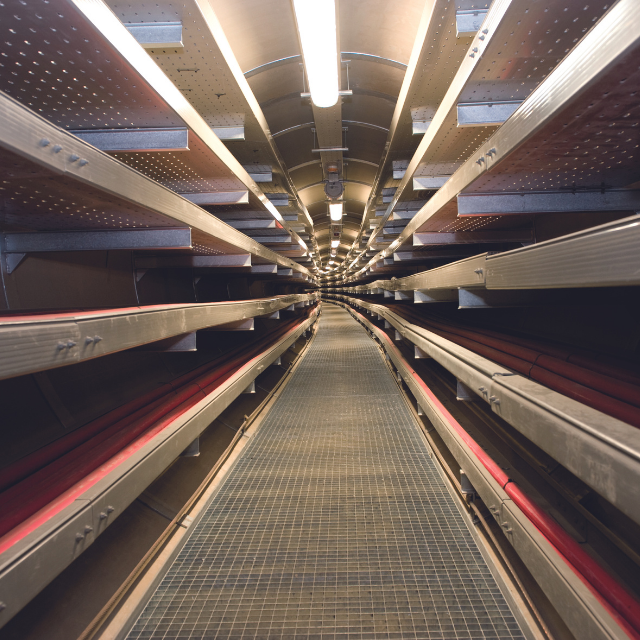 Prysmian | Cables y Accesorios | Prysmian Group